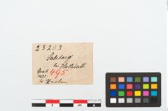 Etikett zu Glasaugenperle (NHMW-PRAE-025203)